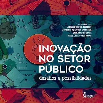 Innovation in the public sector: challenges and possibilities