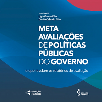 Meta evaluations of government public policies
